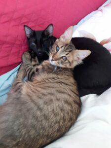 Titi und Tommy Nov1
