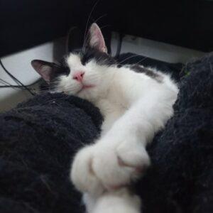 Fran April3