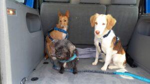 IMG-20230623-WA0064