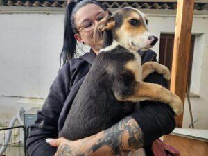 06-24_Rocco_2