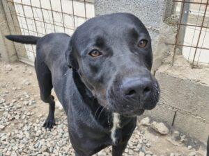 05_24_Nerone 1
