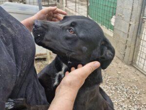 05_24_Nerone 3