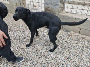 05_24_Nerone 4
