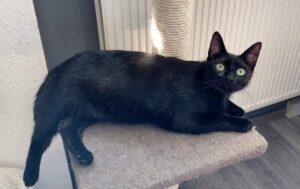 Carola2_05.2025