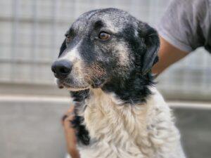 09_24_Ferdinando 1