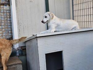 09_24_Panna 3