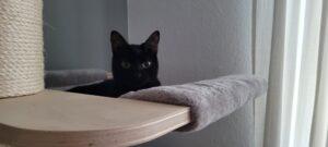 Naomy1