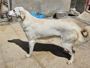 04-25_Panna4b