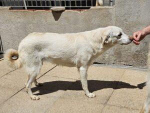 04-25_Panna7b
