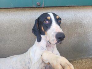 07-22_Ciccio (6)