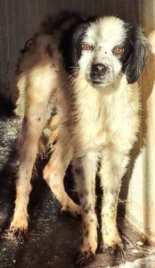 Lola5_01-23