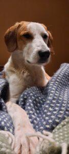 Simba_Jan23-10