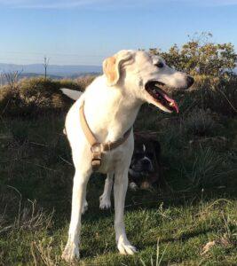 Sesa5_03-23