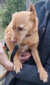 Zooy5_03-23