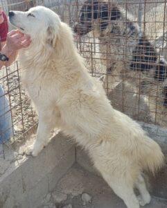 Fergus14_04-23