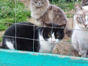 Fiona3