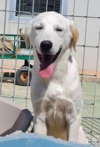 Jack3_04-23