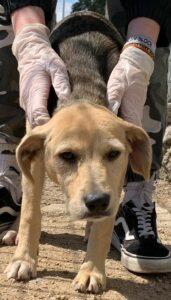 Sandy3_04-23