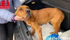 Adina-LIDA1_06-23