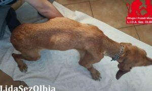 Adina-LIDA2_06-23