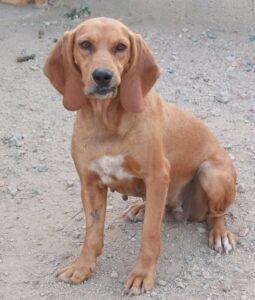 Adina12_06-23
