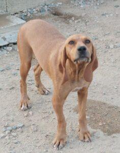 Adina14_06-23