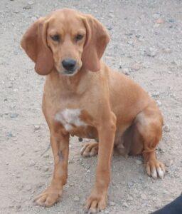 Adina15_06-23