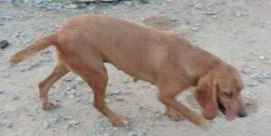 Adina8_06-23