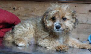 Balu1_06-23