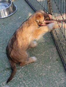 Balu2_06-23