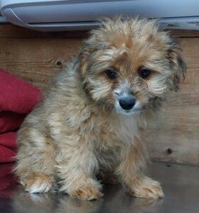 Balu3_06-23