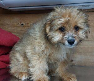 Balu4_06-23