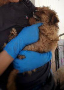 Balu_06-23