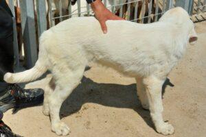 Sandrina4_08-23