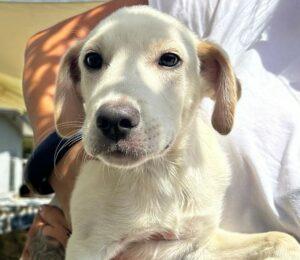 09-23_Pedro6