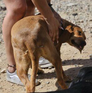 Adina12_09-23