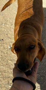 Adina1_09-23