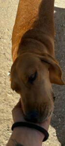 Adina2_09-23