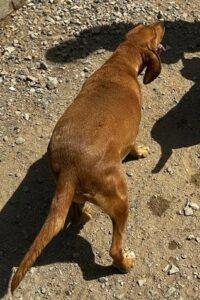 Adina3_09-23