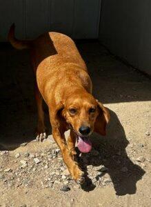 Adina5_09-23