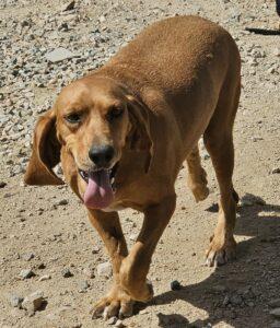 Adina9_09-23