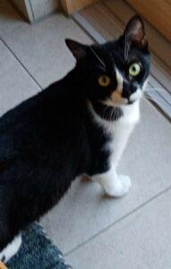 Fragolina 1 neu 3.10.23