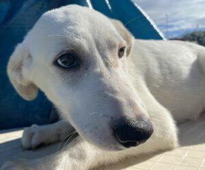10-23_Astrid4B