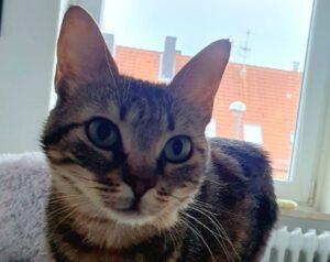 Ina_07-25_2