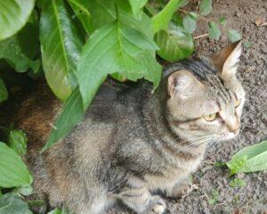 Ina_07-25_3