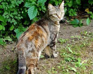 Ina_07-25_4