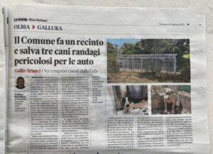 Zeitung-Rinaldo