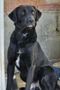 01-24_Nerone16