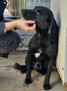 01-24_Nerone18
