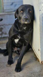 01-24_Nerone28